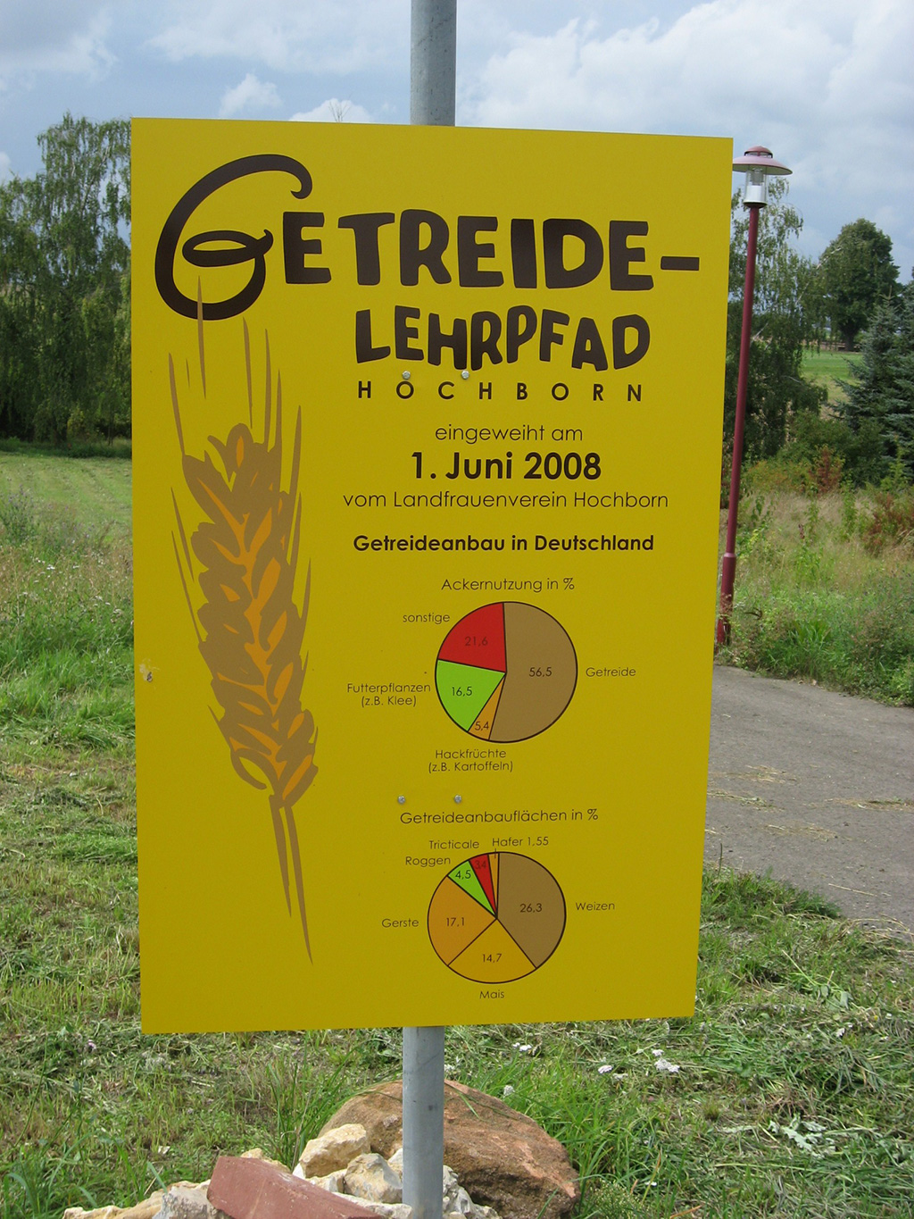 Getreidelehrpfad-Wie viel wird von welchem Getreide angepflanzt?