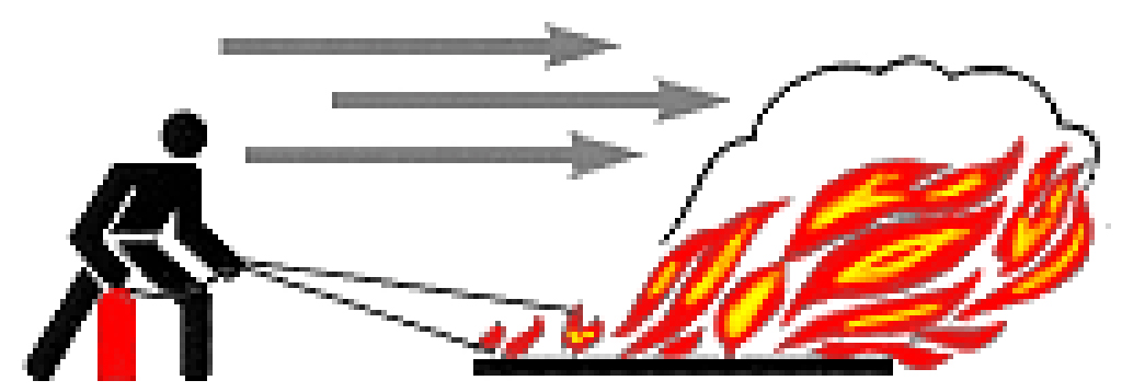 loescher1